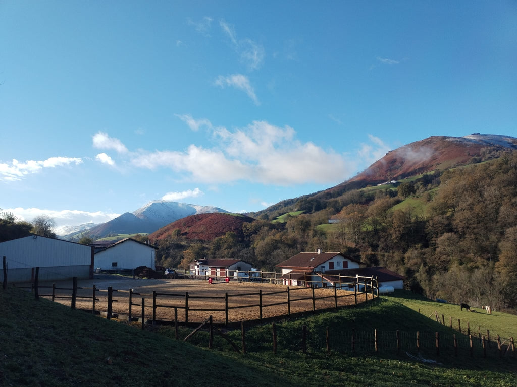 5 séances de cours particuliers d'équitation