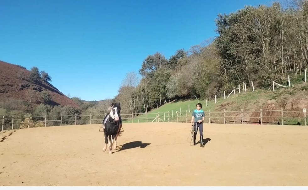 5 séances de cours particuliers d'équitation