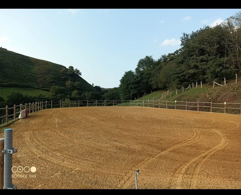 5 séances de cours particuliers d'équitation